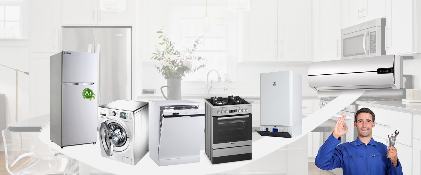Bigadiç Gorenje Servisi